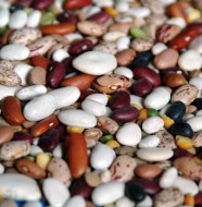 Dried Beans