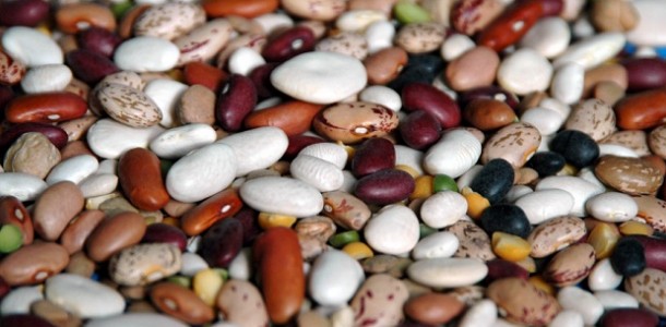 Dried Beans