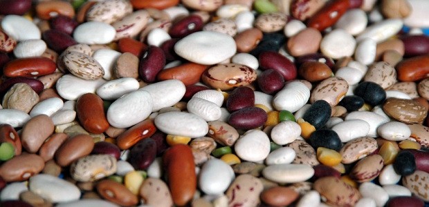 Crock-Pot Basic Beans