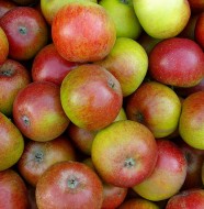 Apples