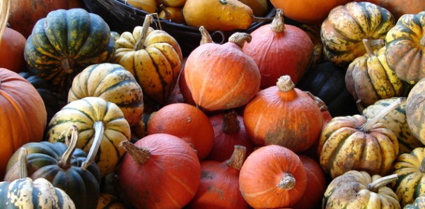 Squash