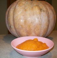 crock-pot pumpkin puree