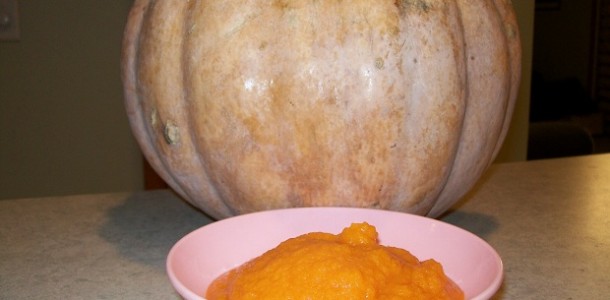 crock-pot pumpkin puree