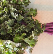 Kale Soup