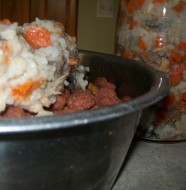 crock-pot homemade dog food
