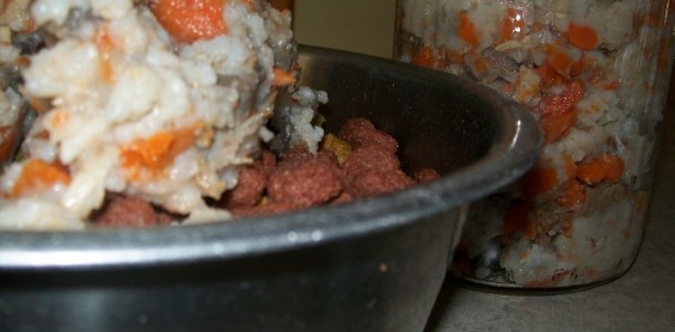 crock-pot homemade dog food