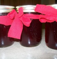 crock-pot cranberry jelly