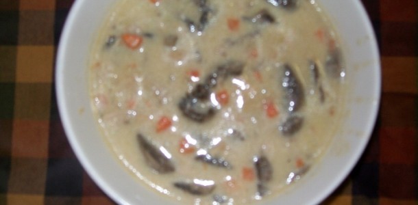 crock-pot mushroom chicken soup