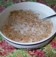 crock-pot basic granola