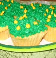 IMG_0492 st patricks cupcakes