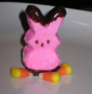 IMG_0436 easter blog 12