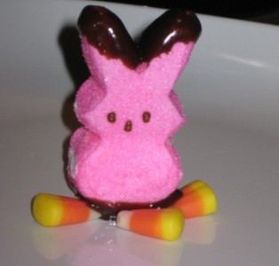 IMG_0436 easter blog 12