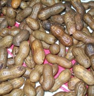 crock-pot boiled peanuts
