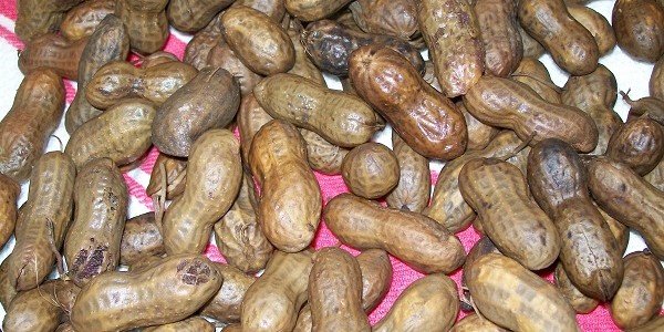 crock-pot boiled peanuts