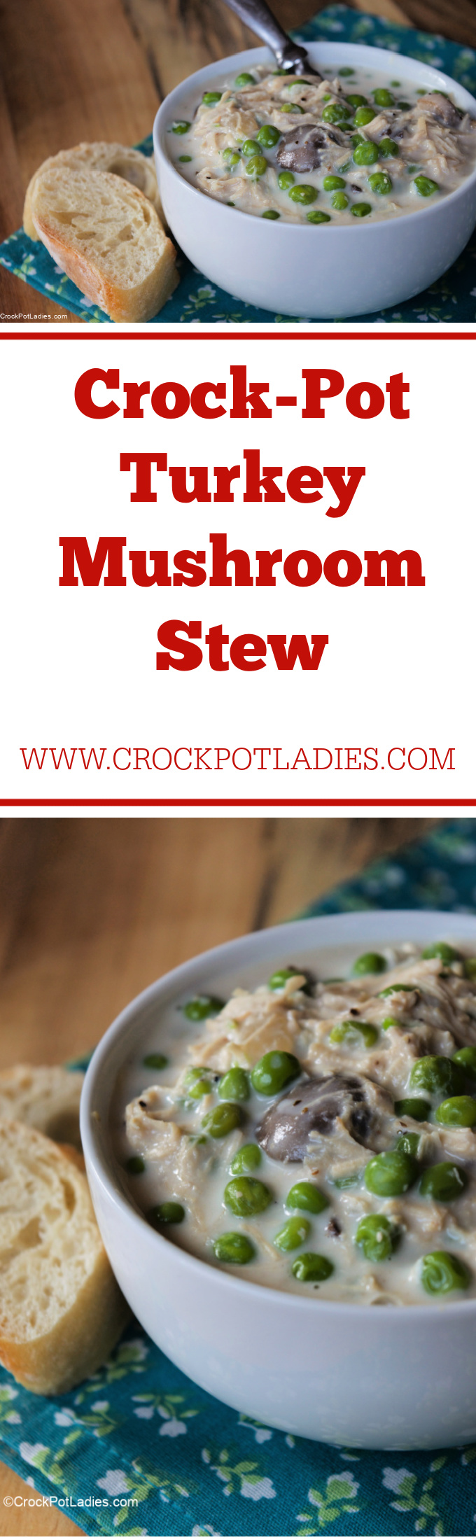 Crock-Pot Turkey Mushroom Stew