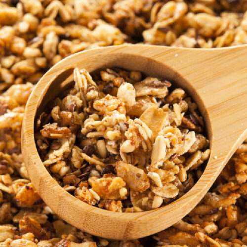 CrockPot Applesauce Granola CrockPot Ladies