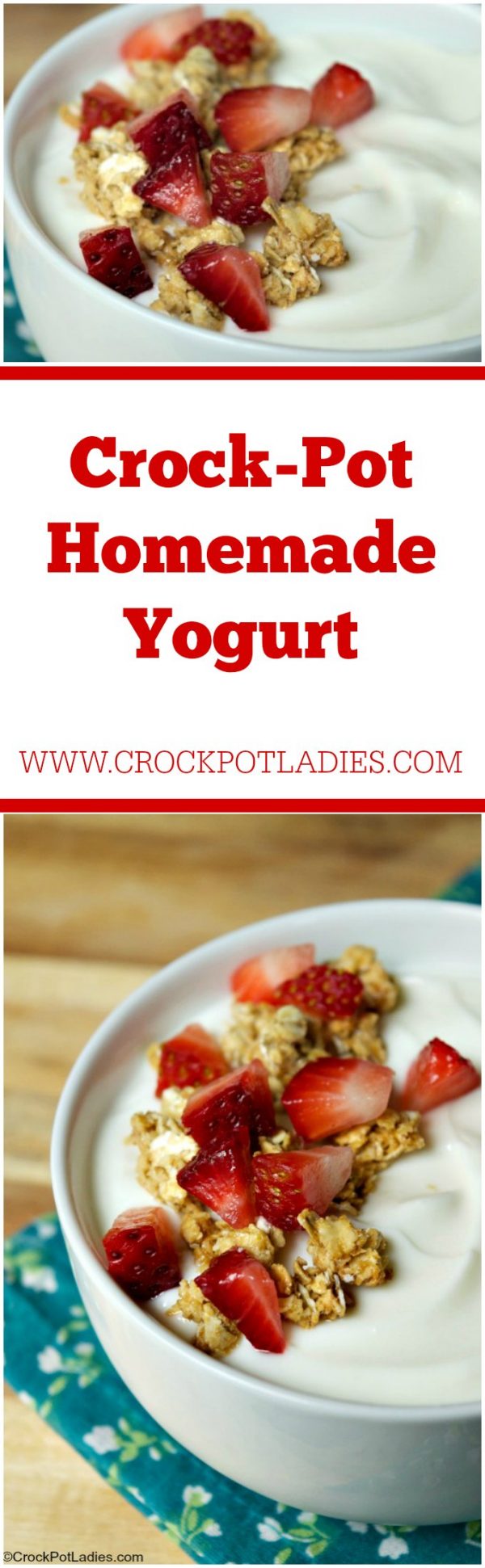 CrockPot Homemade Yogurt CrockPot Ladies
