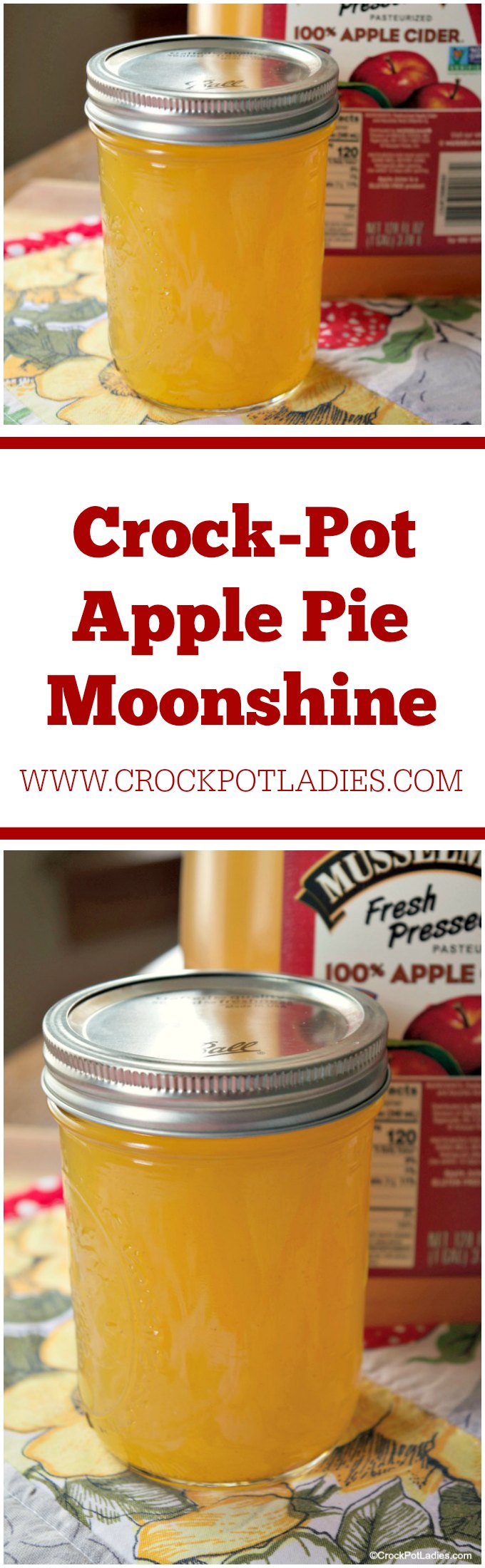 Crock-Pot Apple Pie Moonshine