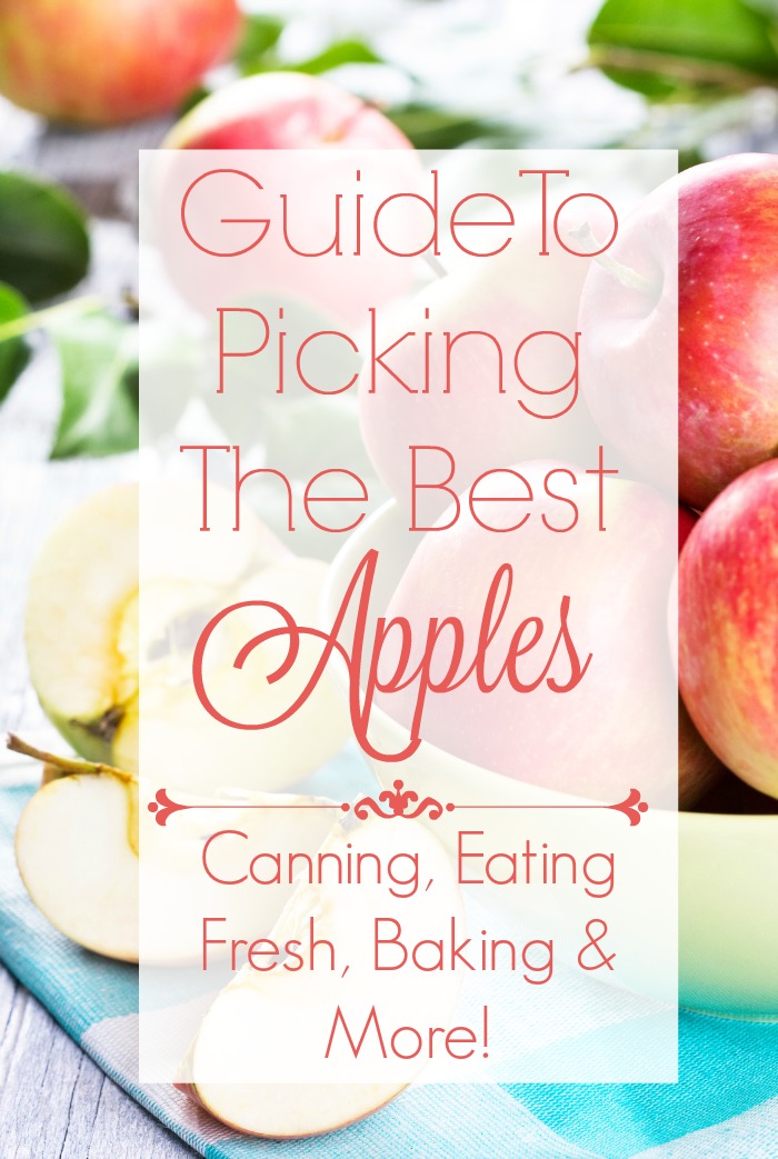 Guide To Picking The Best Apples - Making applesauce, apple crisp, apple pie or just want to know what are the best apples for eating fresh? Check out our guide to picking the best apples...we cover everything from the best apples for dehydrating to making apple jelly and everything in between! 