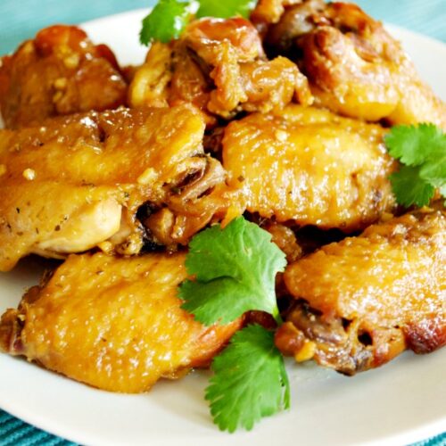 CrockPot Honey Garlic Chicken Wings CrockPot Ladies