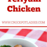 Crock-Pot Teriyaki Chicken