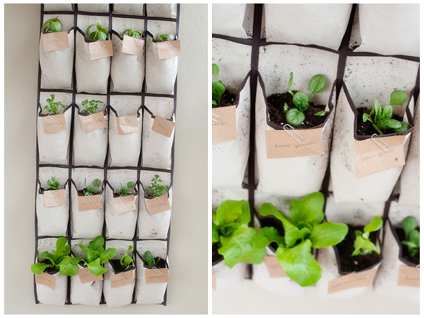 Make An Indoor Herb Planter - In 10 Minutes! • Grillo Designs