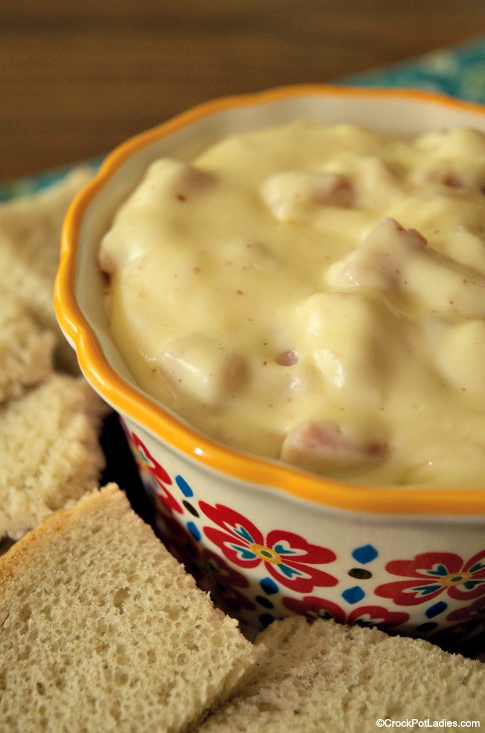 CrockPot Ham and Swiss Dip CrockPot Ladies