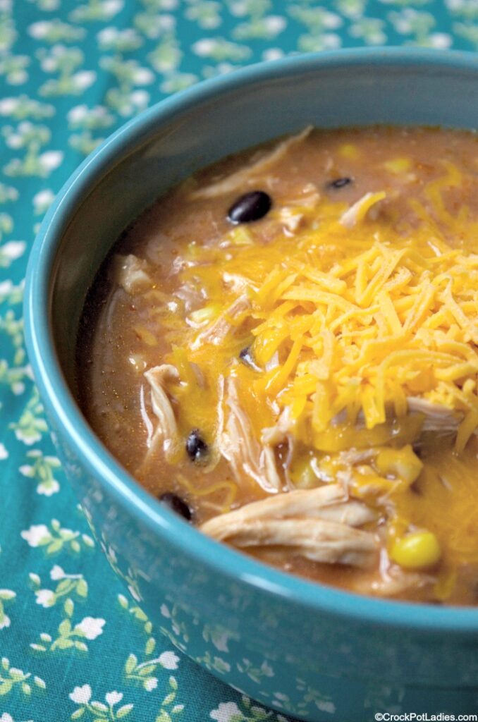 Crock-Pot Chicken Enchilada Soup