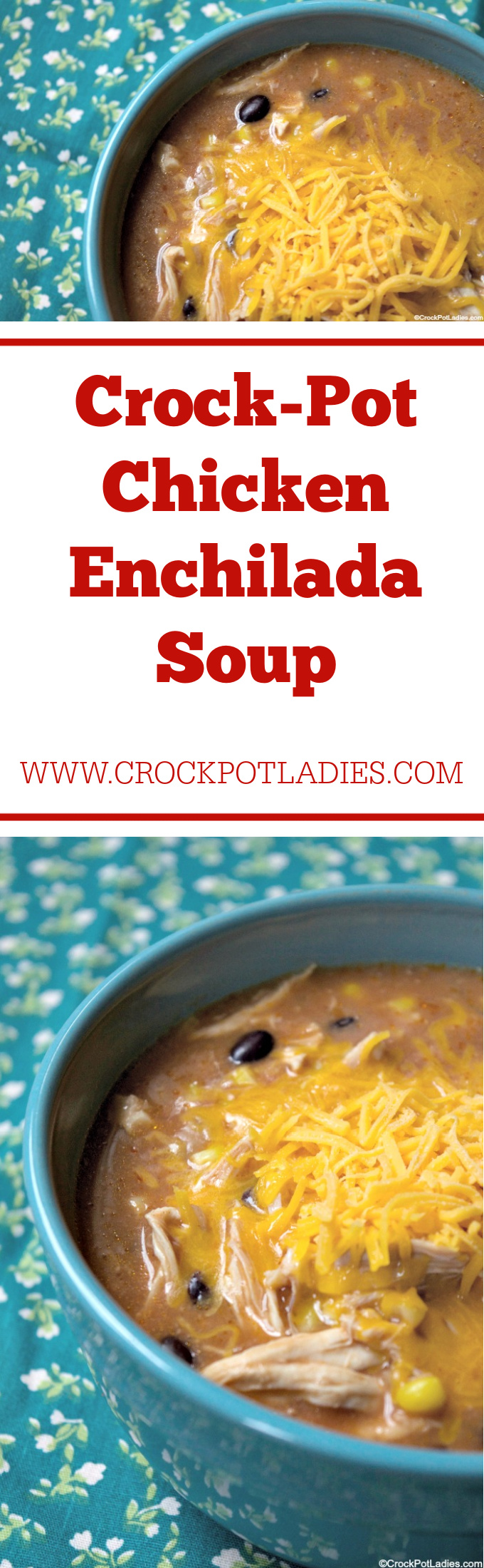 Crock-Pot Chicken Enchilada Soup