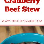 Crock-Pot Cranberry Beef Stew