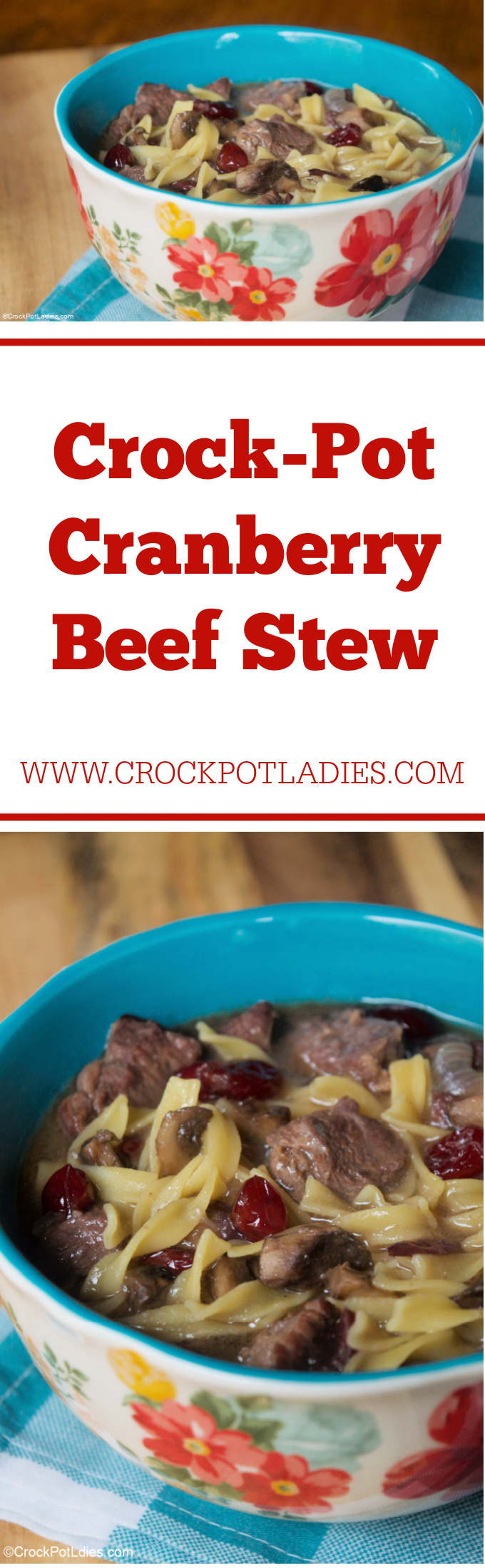 Crock-Pot Cranberry Beef Stew