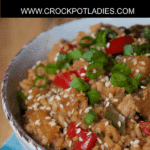 Crock-Pot Teriyaki Chicken And Rice